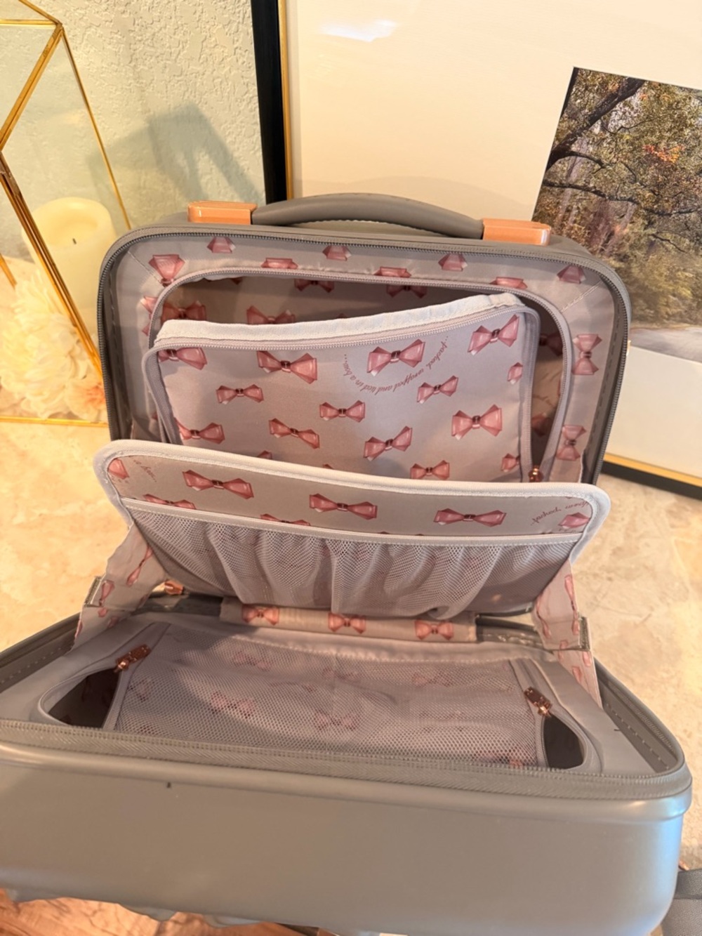 Ted Baker Gray Bow-Embossed Hard Shell Travel Vanity Case with Rose Gold Accent - Picture 12 of 12